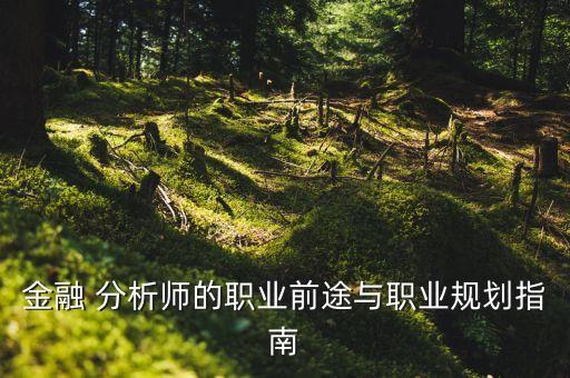 金融 分析師的職業(yè)前途與職業(yè)規(guī)劃指南