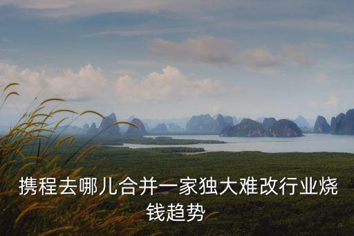  攜程去哪兒合并一家獨(dú)大難改行業(yè)燒錢(qián)趨勢(shì)