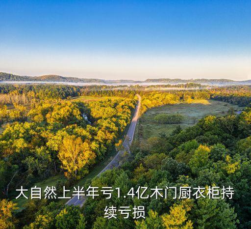 凱德集團2015年年報