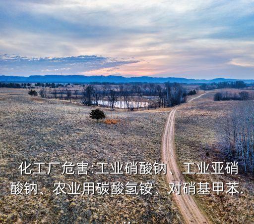 湛江集團化工廠泄露