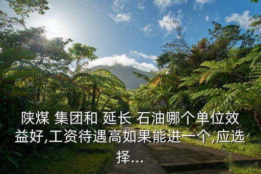 陜煤 集團(tuán)和 延長(zhǎng) 石油哪個(gè)單位效益好,工資待遇高如果能進(jìn)一個(gè),應(yīng)選擇...