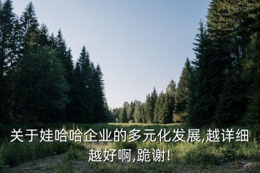 哇哈哈公司管理風險分析,公司管理風險分析與防范