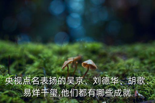 央視點(diǎn)名表揚(yáng)的吳京、劉德華、胡歌、易烊千璽,他們都有哪些成就