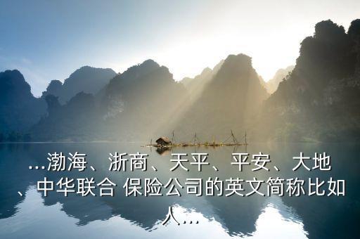 ...渤海、浙商、天平、平安、大地、中華聯(lián)合 保險(xiǎn)公司的英文簡(jiǎn)稱比如人...