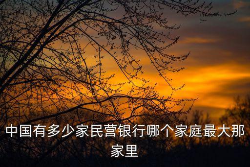 中國(guó)有多少家民營(yíng)銀行哪個(gè)家庭最大那家里