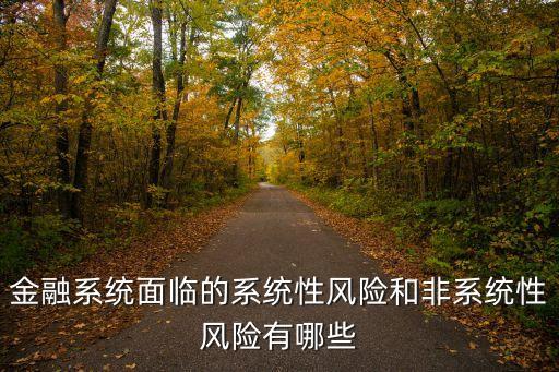 金融系統(tǒng)面臨的系統(tǒng)性風(fēng)險(xiǎn)和非系統(tǒng)性風(fēng)險(xiǎn)有哪些