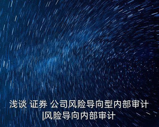 淺談 證券 公司風險導向型內部審計|風險導向內部審計