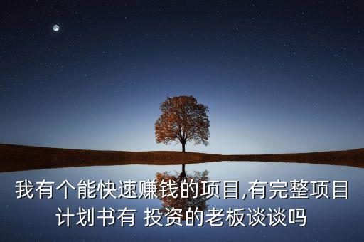 我有個能快速賺錢的項目,有完整項目計劃書有 投資的老板談?wù)剢? class=