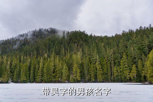 北京昊煜工貿有限責任公司,北京文海陽工貿有限責任公司