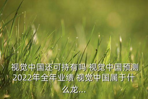視覺中國文化發(fā)展