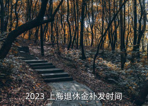 2023 上海退休金補發(fā)時間