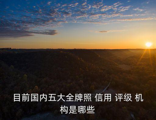 目前國內五大全牌照 信用 評級 機構是哪些