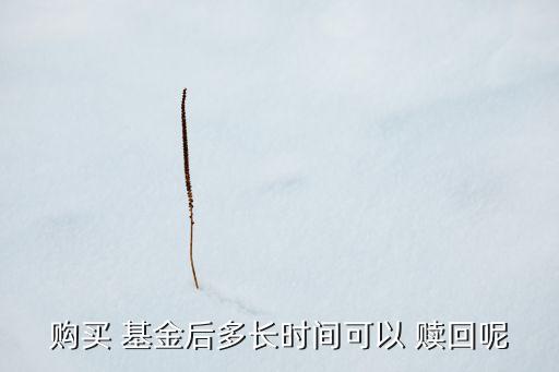 封閉式基金贖回期限,買了封閉式基金強(qiáng)制贖回