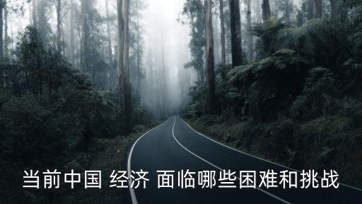 中國(guó)面臨的經(jīng)濟(jì)問題,中國(guó)現(xiàn)在面臨的經(jīng)濟(jì)問題有哪些