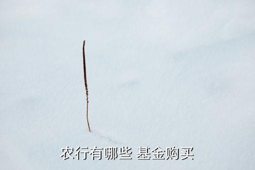 農(nóng)行有哪些 基金購買