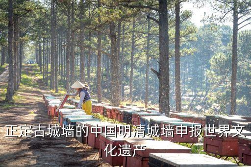 正定古城墻的中國明清城墻申報世界文化遺產