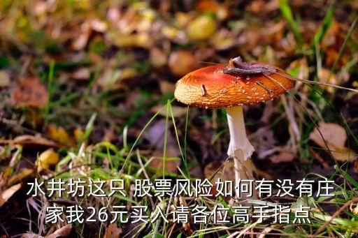  水井坊這只 股票風(fēng)險(xiǎn)如何有沒有莊家我26元買入請(qǐng)各位高手指點(diǎn)
