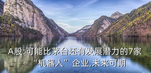 A股:可能比茅臺(tái)還有發(fā)展?jié)摿Φ?家“機(jī)器人”企業(yè),未來可期