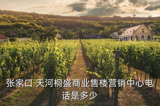 張家口 天河桐盛商業(yè)售樓營(yíng)銷中心電話是多少