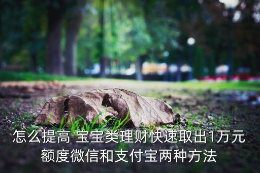 怎么提高 寶寶類理財(cái)快速取出1萬(wàn)元額度微信和支付寶兩種方法