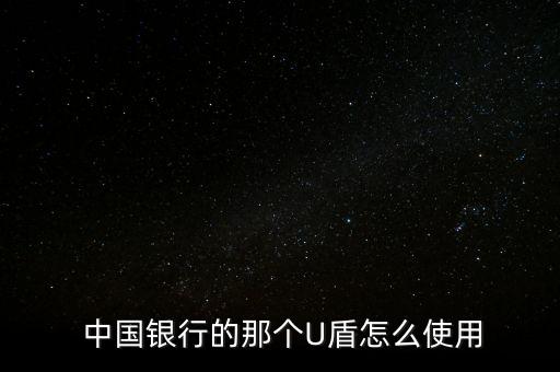  中國(guó)銀行的那個(gè)U盾怎么使用