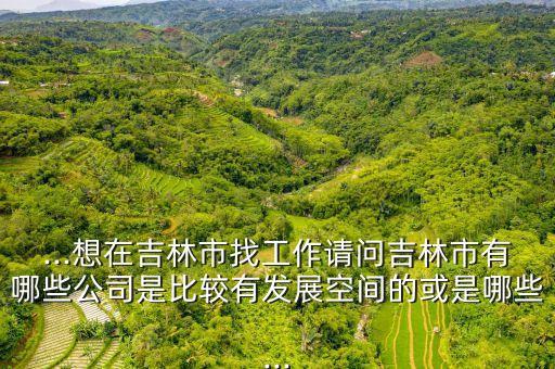 ...想在吉林市找工作請(qǐng)問(wèn)吉林市有哪些公司是比較有發(fā)展空間的或是哪些...
