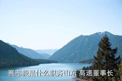 賽志毅是什么職務山東 高速董事長