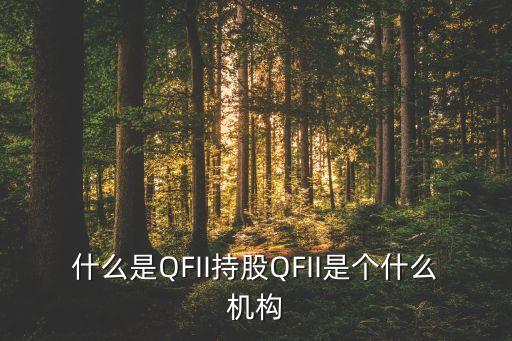 什么是QFII持股QFII是個(gè)什么機(jī)構(gòu)