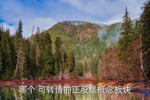 哪個 可轉(zhuǎn)債的正股是概念板塊