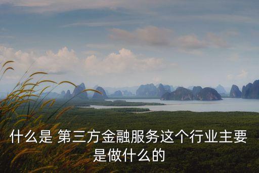 什么是 第三方金融服務這個行業(yè)主要是做什么的