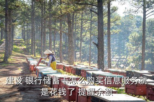 建設 銀行儲蓄卡怎么購買信息服務就是花錢了 提醒余額
