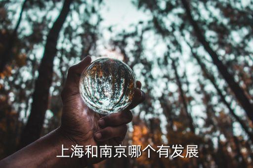 上海和南京哪個(gè)有發(fā)展