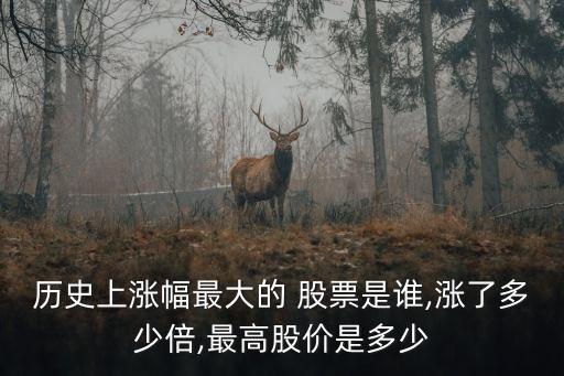 歷史上漲幅最大的 股票是誰(shuí),漲了多少倍,最高股價(jià)是多少