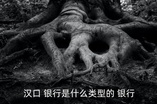  漢口 銀行是什么類(lèi)型的 銀行