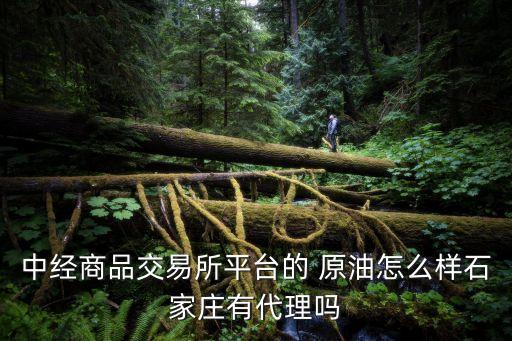 中經(jīng)原油投資,原油投資交易平臺