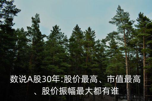 數(shù)說A股30年:股價最高、市值最高、股價振幅最大都有誰