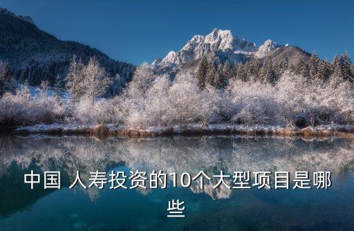 中國 人壽投資的10個(gè)大型項(xiàng)目是哪些