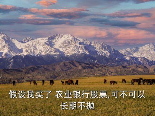 假設(shè)我買(mǎi)了 農(nóng)業(yè)銀行股票,可不可以長(zhǎng)期不拋