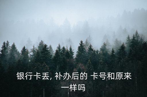  銀行卡丟, 補(bǔ)辦后的 卡號(hào)和原來一樣嗎