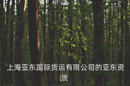  上海亞東國際貨運(yùn)有限公司的亞東資質(zhì)