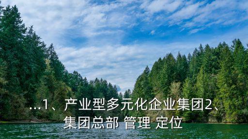 ...1、產(chǎn)業(yè)型多元化企業(yè)集團(tuán)2、集團(tuán)總部 管理 定位