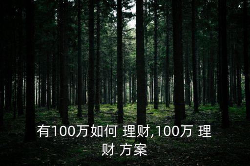 有100萬如何 理財(cái),100萬 理財(cái) 方案