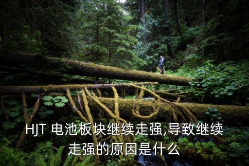 中國(guó)儲(chǔ)能釩電池新聞,釩電池儲(chǔ)能市場(chǎng)未來(lái)展望