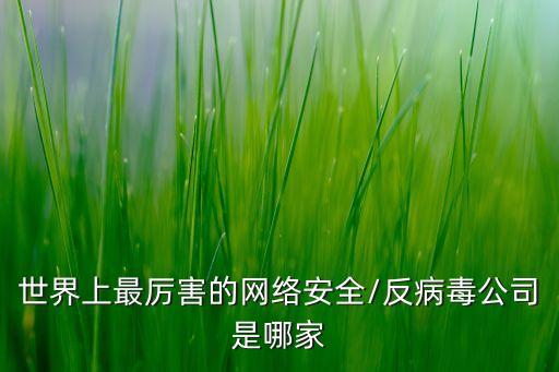 世界上最厲害的網(wǎng)絡安全/反病毒公司是哪家