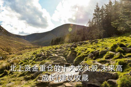  北上資金重倉(cāng)的十大龍頭股,未來(lái)高成長(zhǎng)(建議收藏