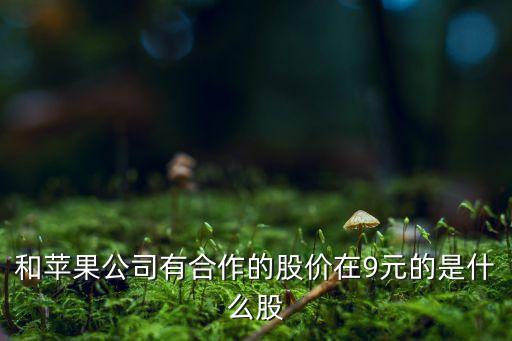 和蘋果公司有合作的股價(jià)在9元的是什么股