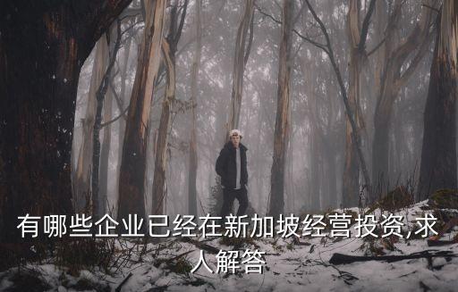 有哪些企業(yè)已經在新加坡經營投資,求人解答