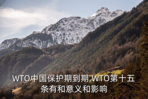 WTO中國保護(hù)期到期,WTO第十五條有和意義和影響