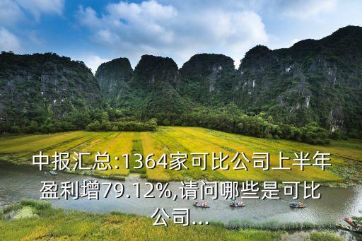 中報(bào)匯總:1364家可比公司上半年盈利增79.12%,請問哪些是可比公司...