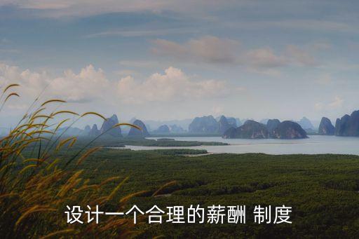 設(shè)計(jì)一個(gè)合理的薪酬 制度